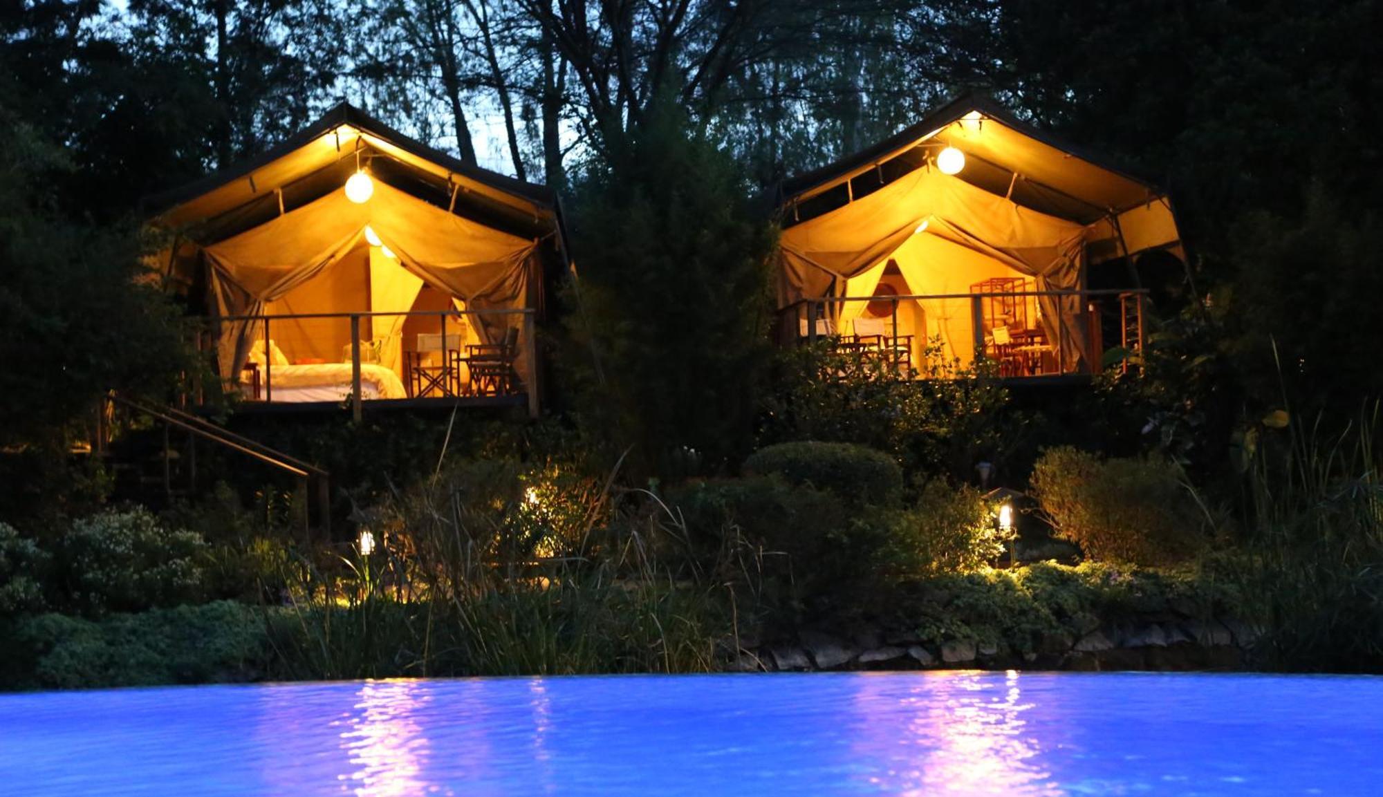 Wildebeest Eco Camp Hotel Nairobi Værelse billede